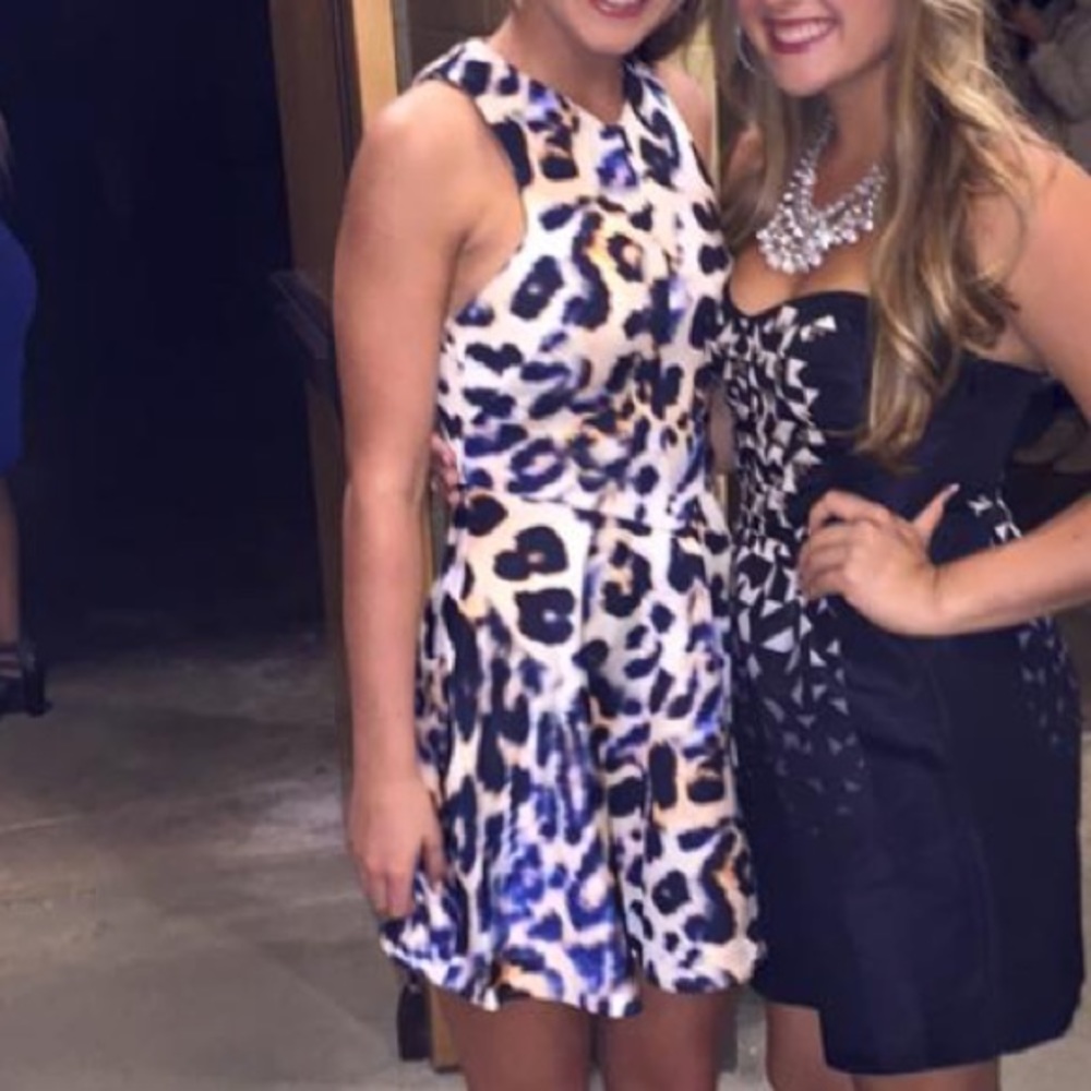 C/MEO blue cheetah cocktail dress